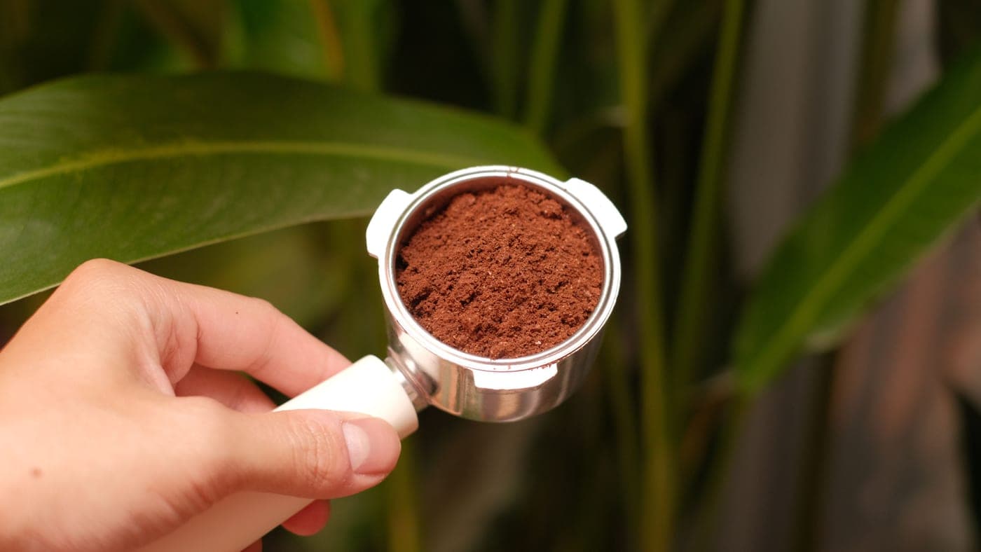 A portafilter with prepared coffee
